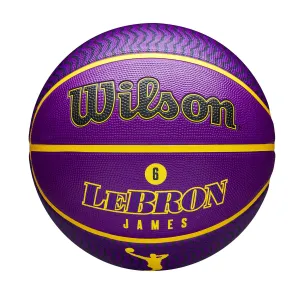 Wilson Lebron Icon Outdoor Basketball