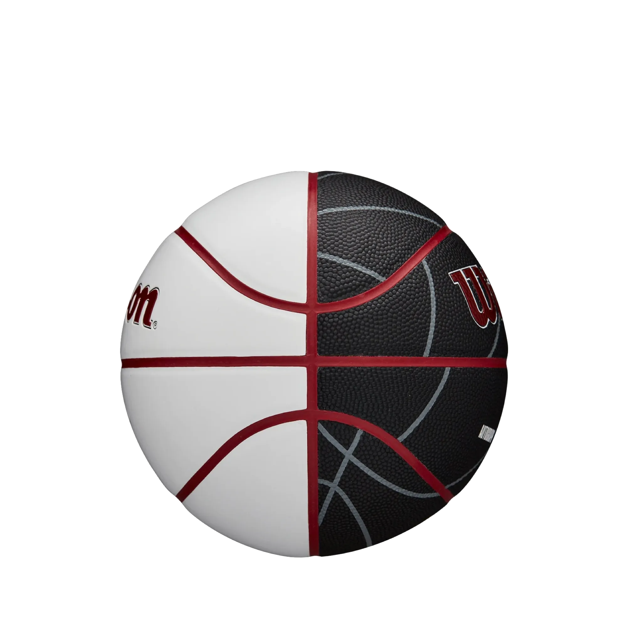 Wilson Miami HEAT Autograph Mini Basketball